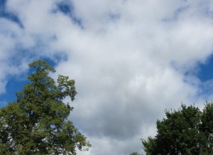 It is not all blue skys