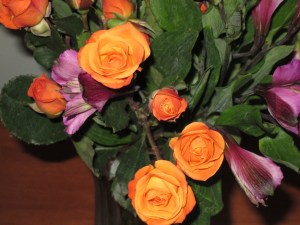 Happy Spring! ( It is my positive mental attitude.)